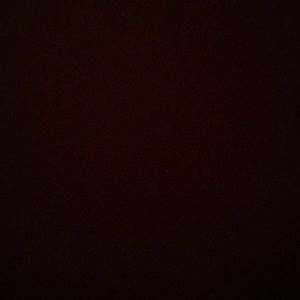 Meet your Posher, Tia